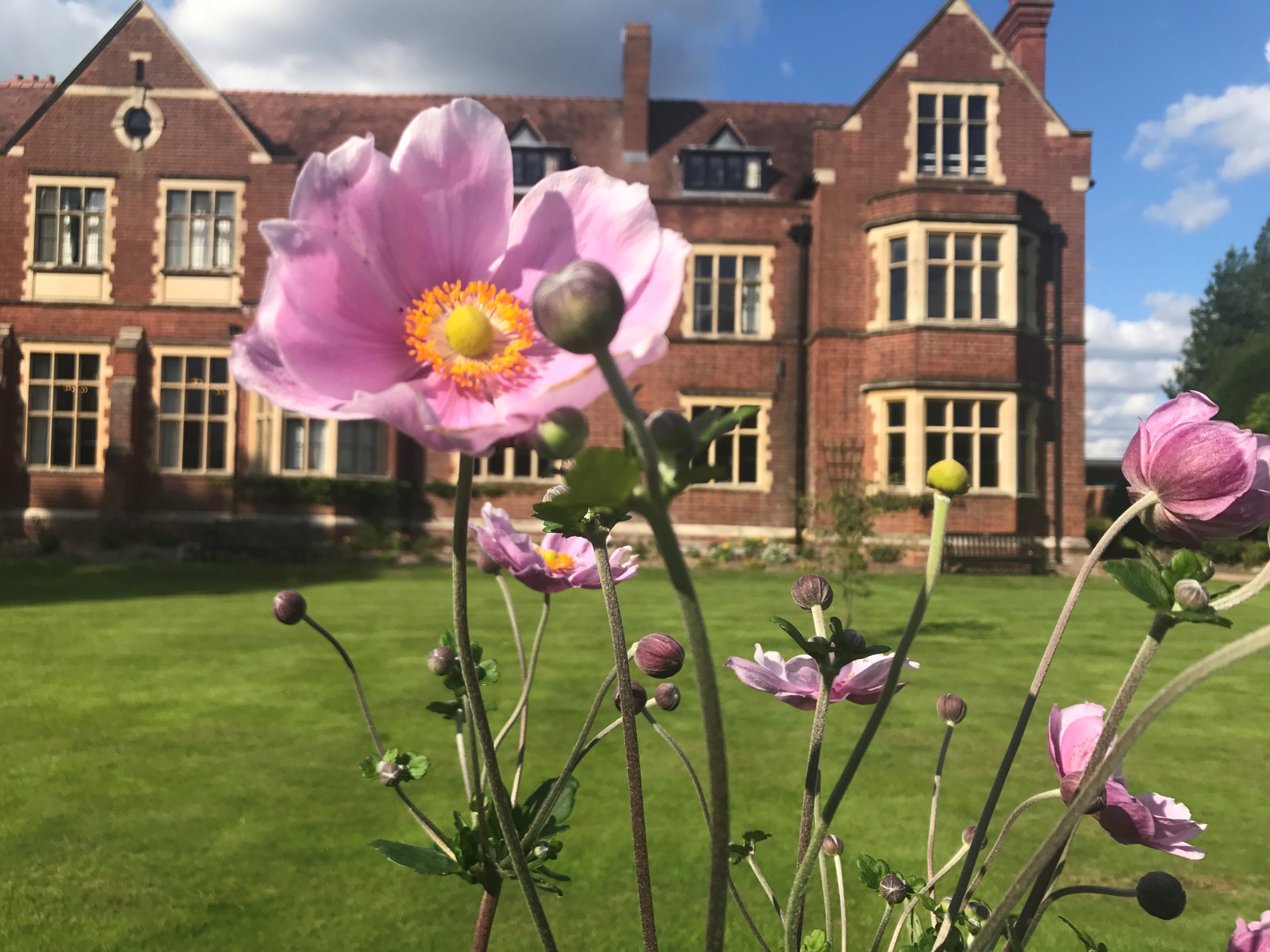 Summer at Bromsgrove School